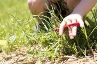 Group of children sitting in a grassy park, enjoying a sunny summer day together. Annual Registration  fee